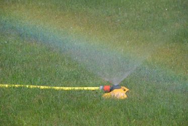 Rebates Ending for Ripping Out Lawn