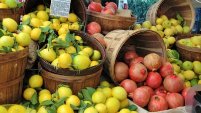 Visit Your Local Farmers Market, Strengthen Your Community
