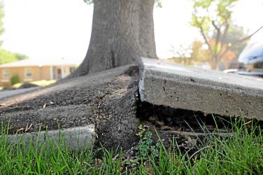 LA Commits to $1.4 Billion Sidewalk Repair Plan