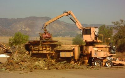 You Can Prevent Tree Removal