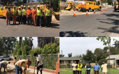 More Trees for Valley Glen