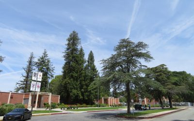 Grant High School Demolition Begins