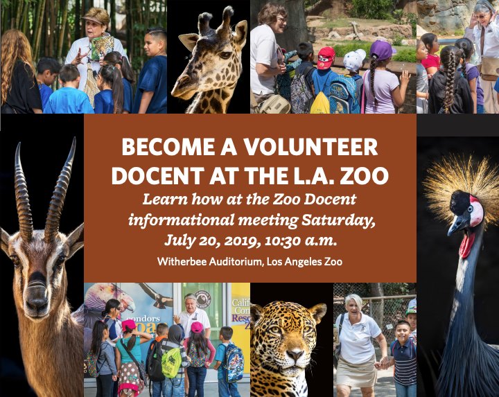 become a zoo docent