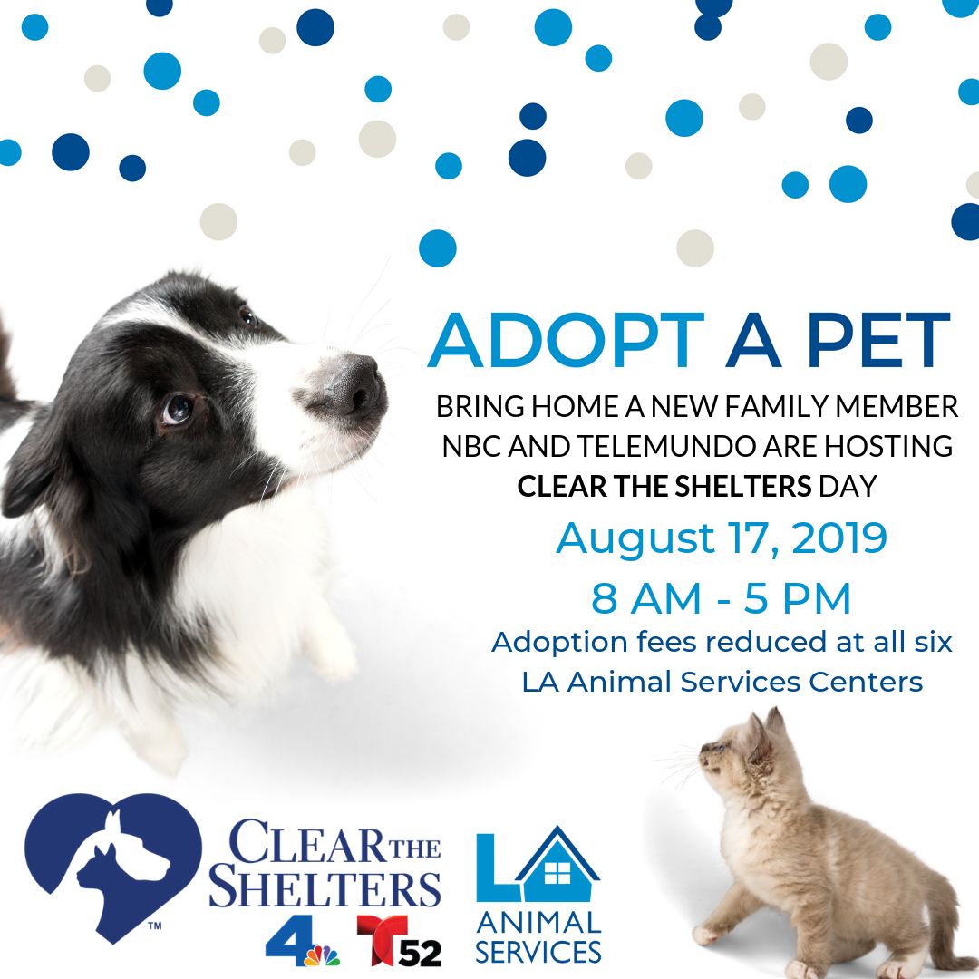 Clear the Shelters