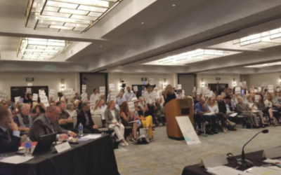 Southern San Fernando Valley Airplane Noise Task Force Launched