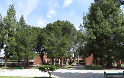 Grant High School Construction & Tree Removal Notice