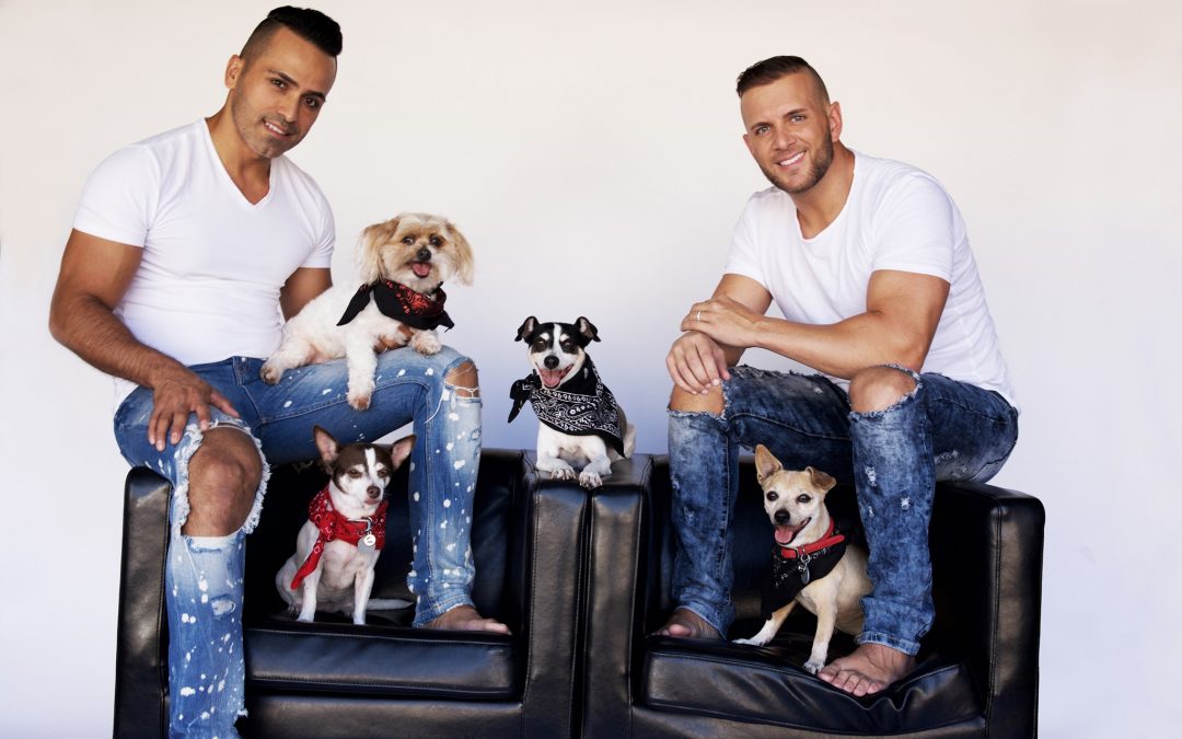 Celebrating Valley Glen Pets