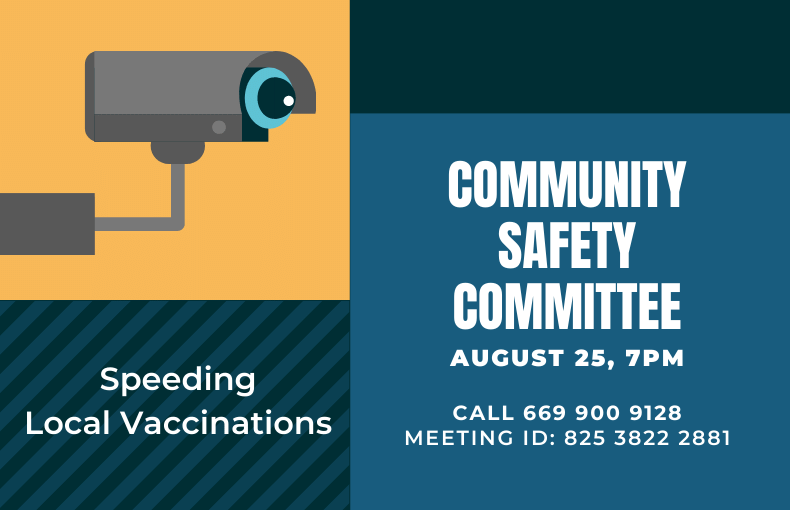 Community safety committee august