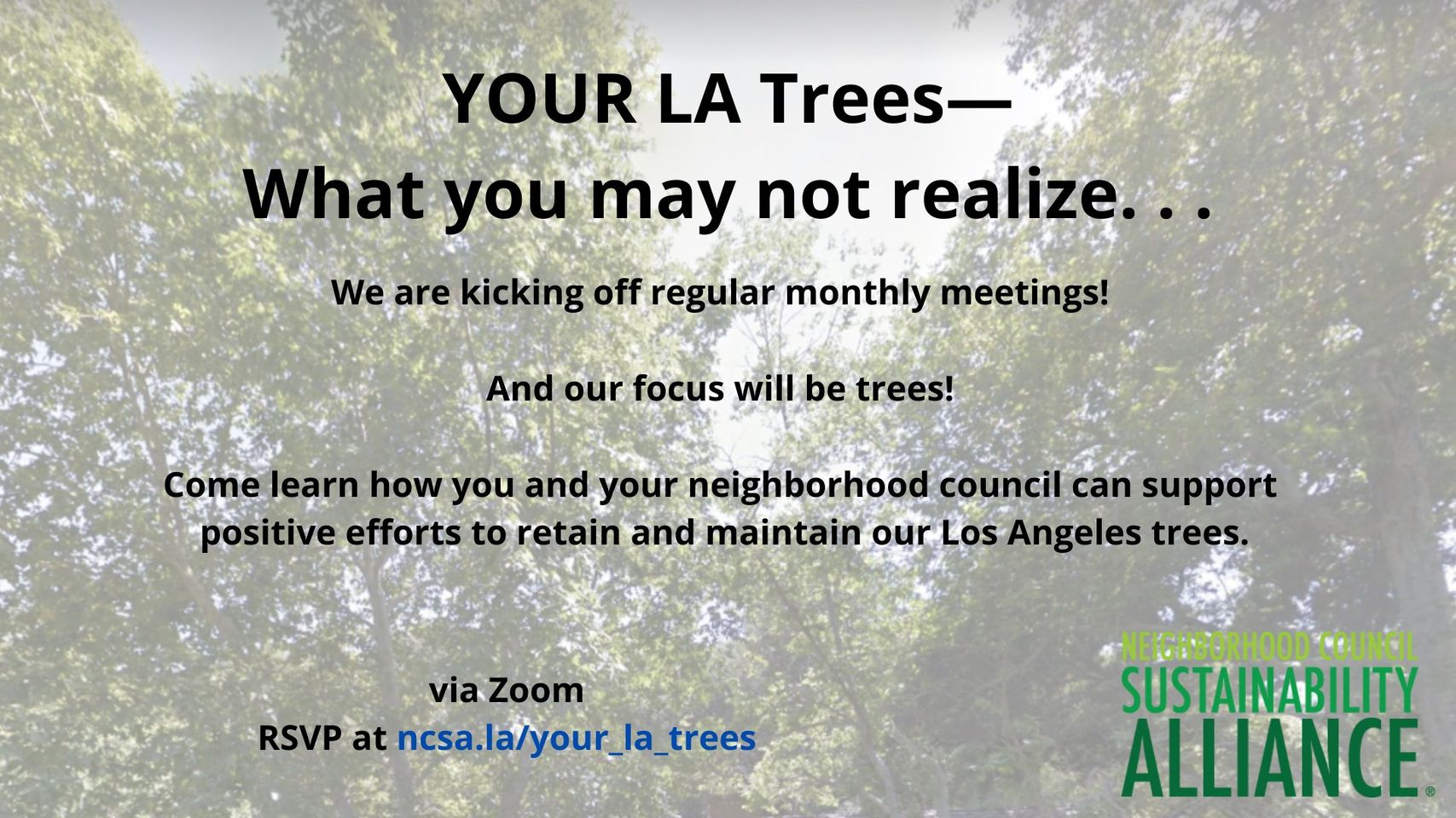 Trees workshop