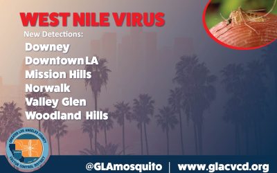 West Nile Virus Detected in Valley Glen