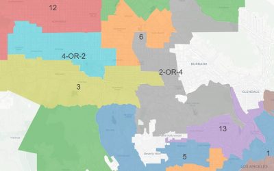 GVGC Opposes Redistricting Map Cutting Up Community