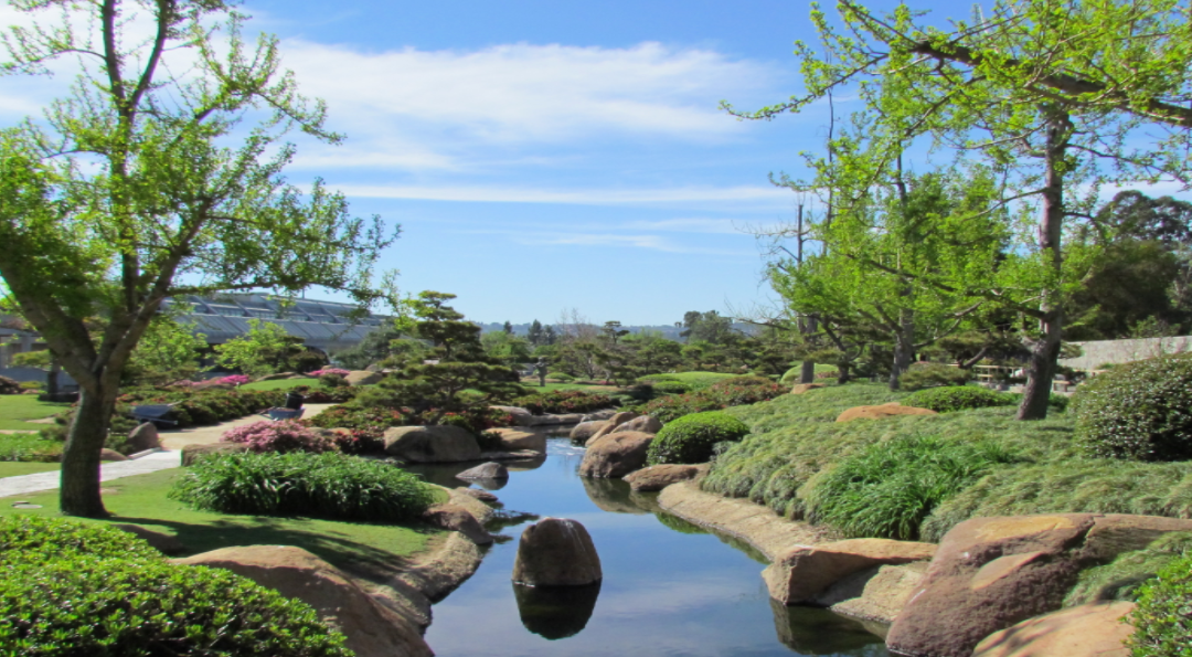 Comment on Japanese Garden Water Reclamation Plan