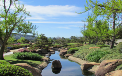 Comment on Japanese Garden Water Reclamation Plan