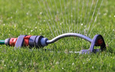 New Watering Regulations