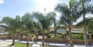 13536 Bassett